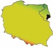Mapa Polski z wskazaną lokalizacją Gminy Czyże