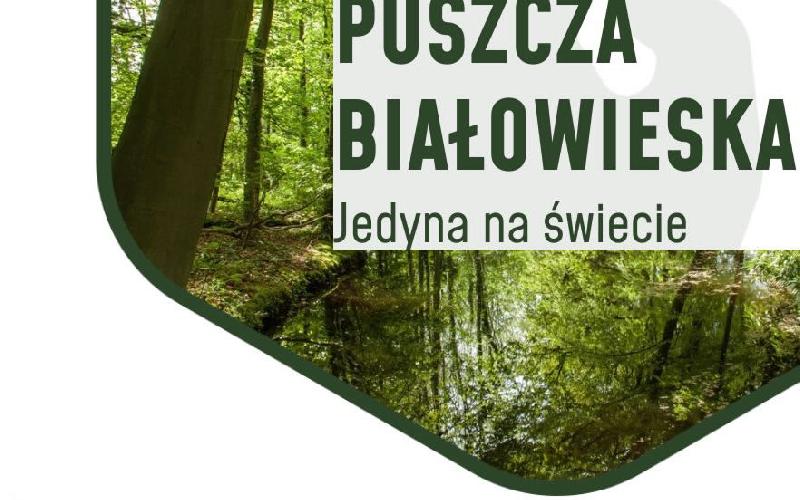 Konsultacje społeczne
